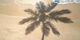 Palm tree shadow on the beach in Samui
